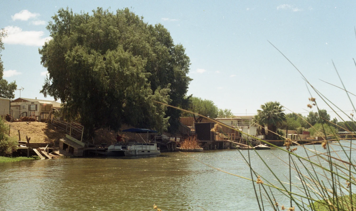 film-37.jpg