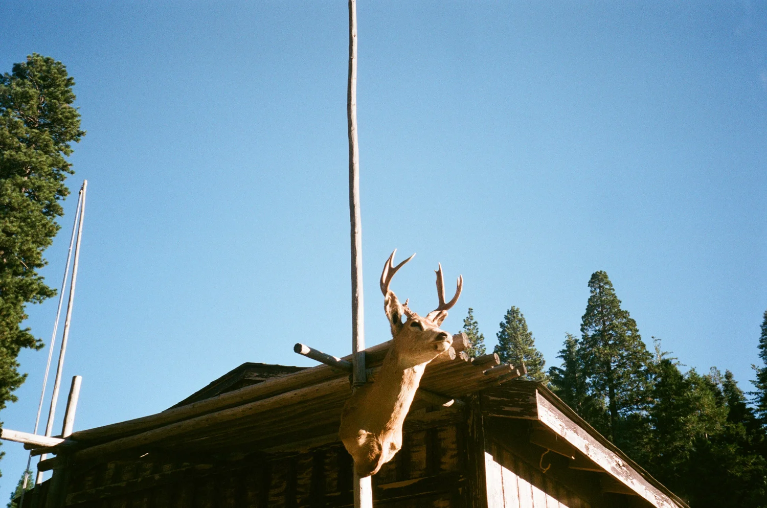 67.jpg