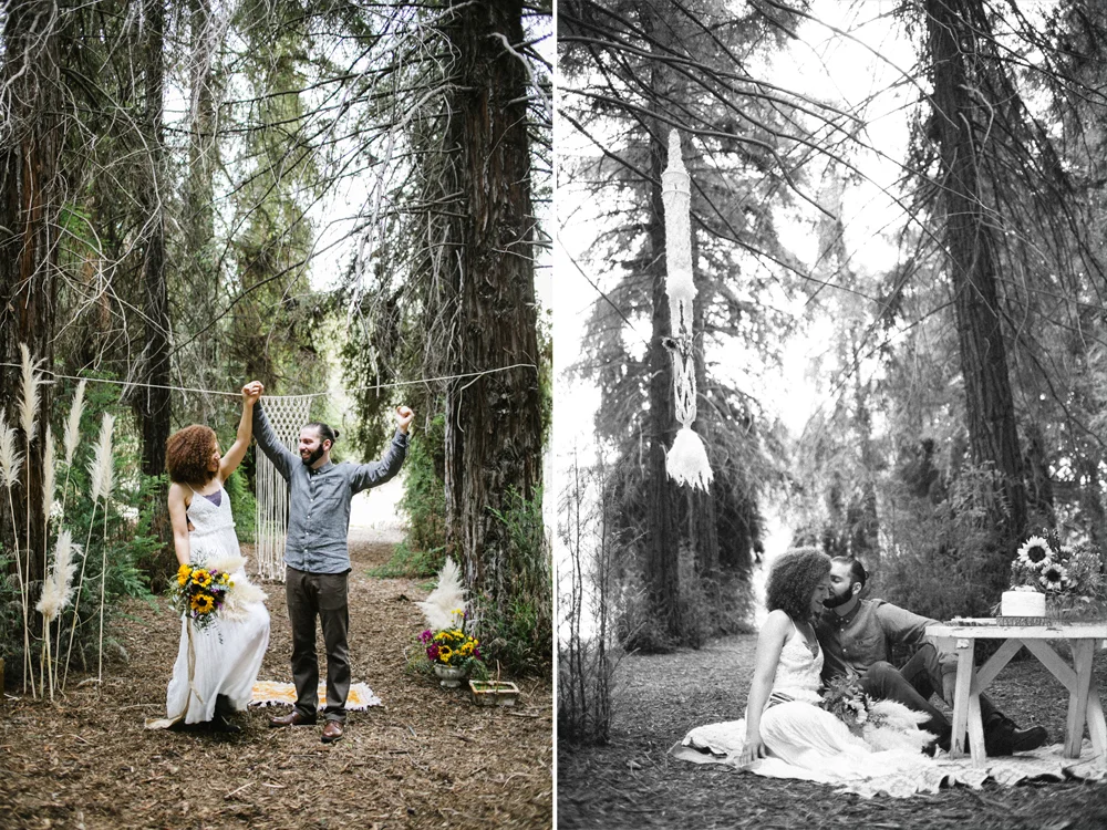 16 sequoia elopement.jpg