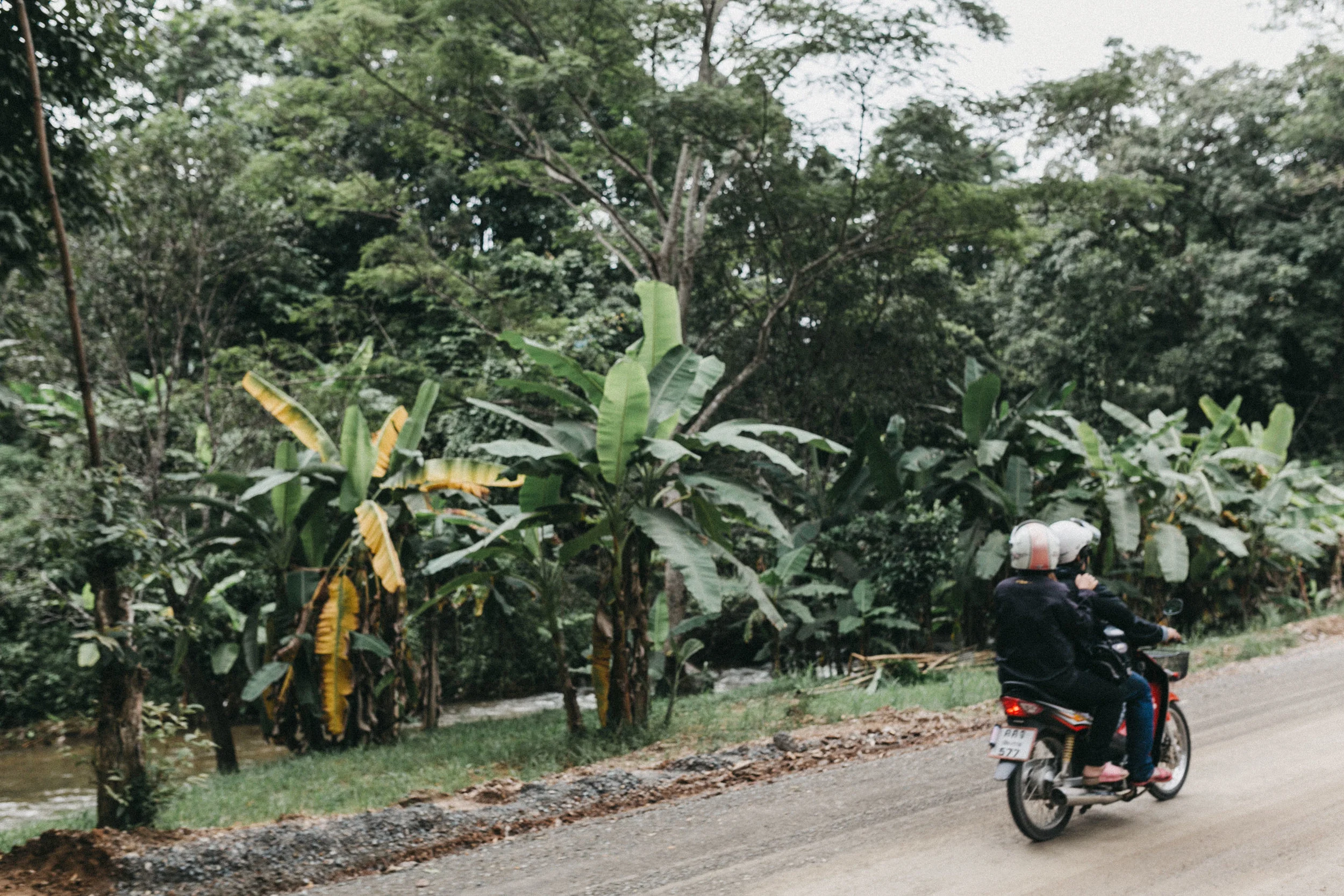 thailand-30.jpg