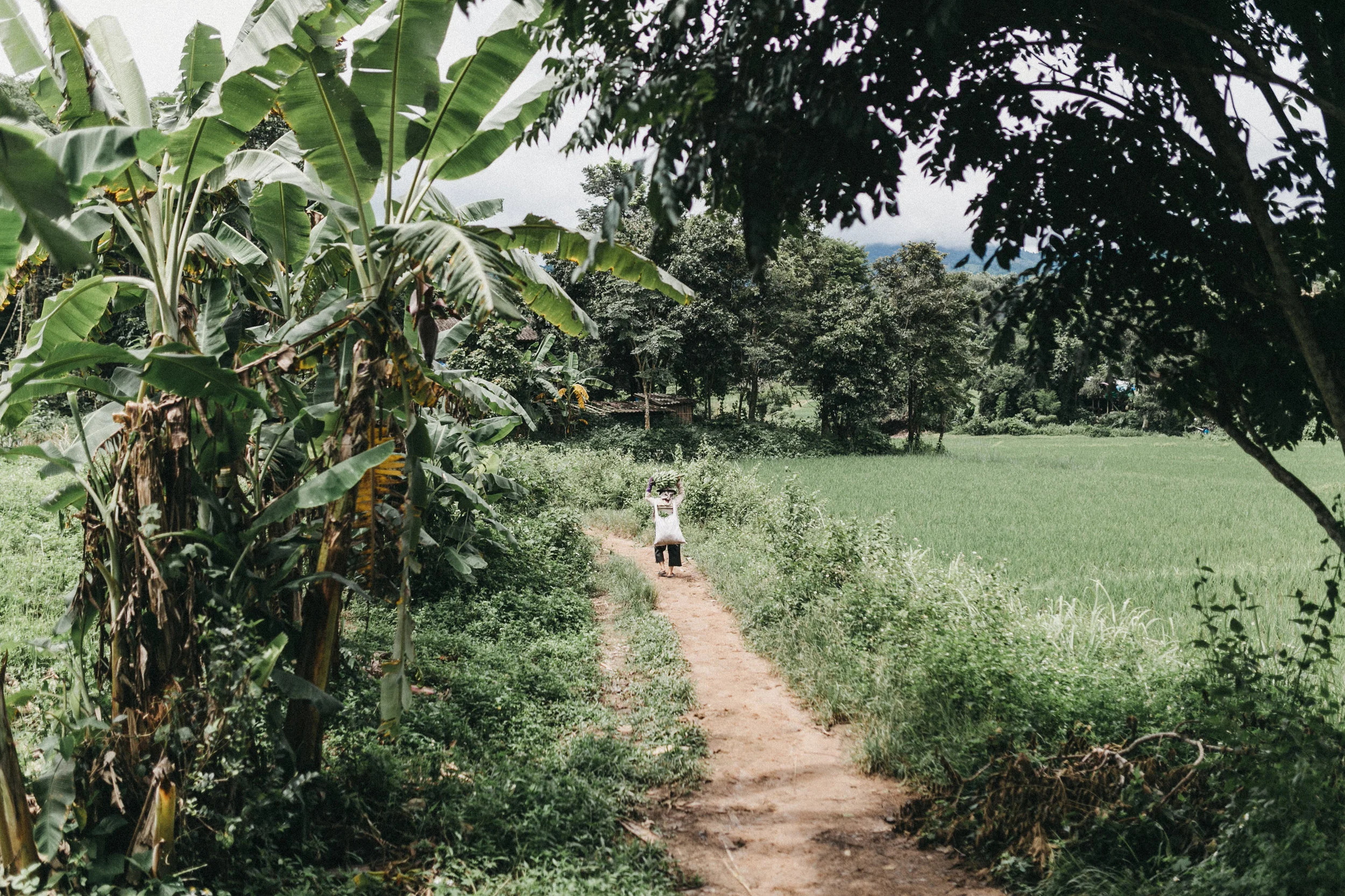 thailand-78.jpg
