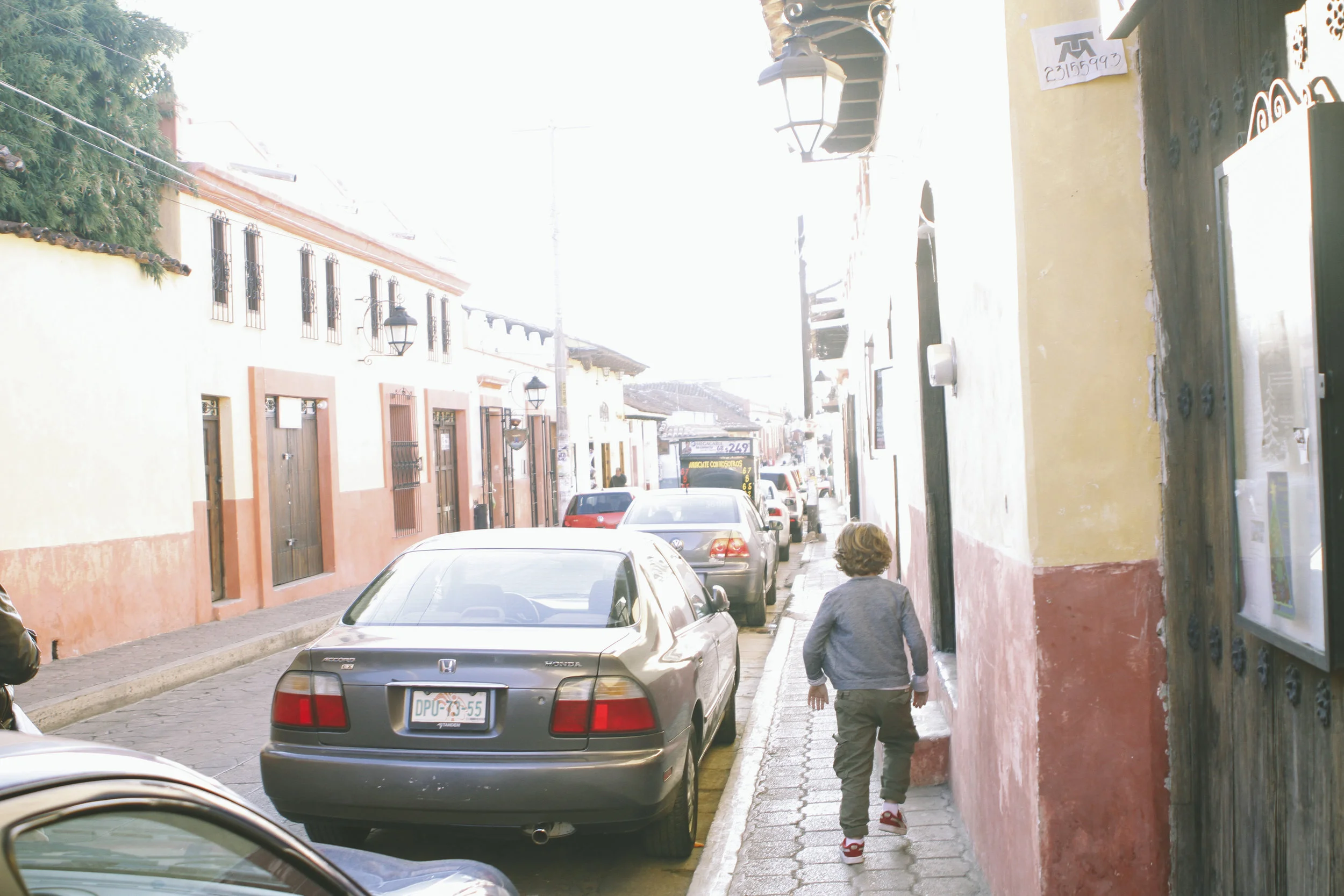 _MG_0213.jpg