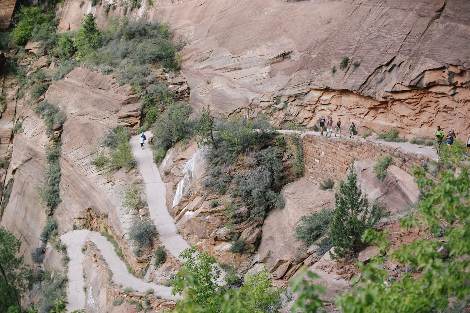 zion-23.jpg