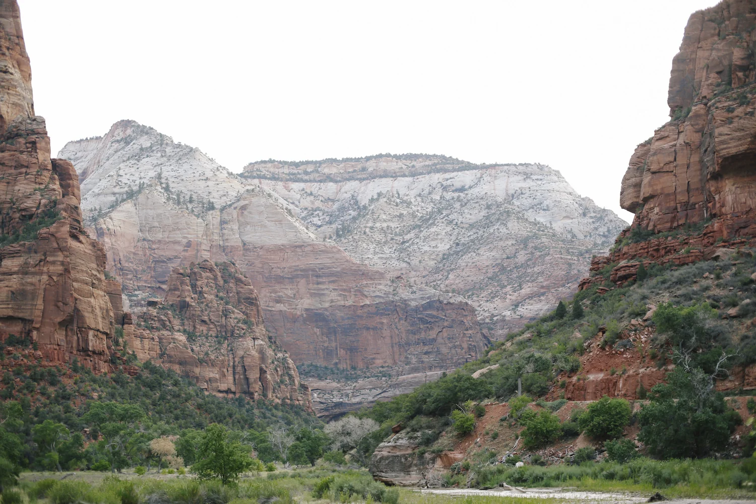zion-21.jpg