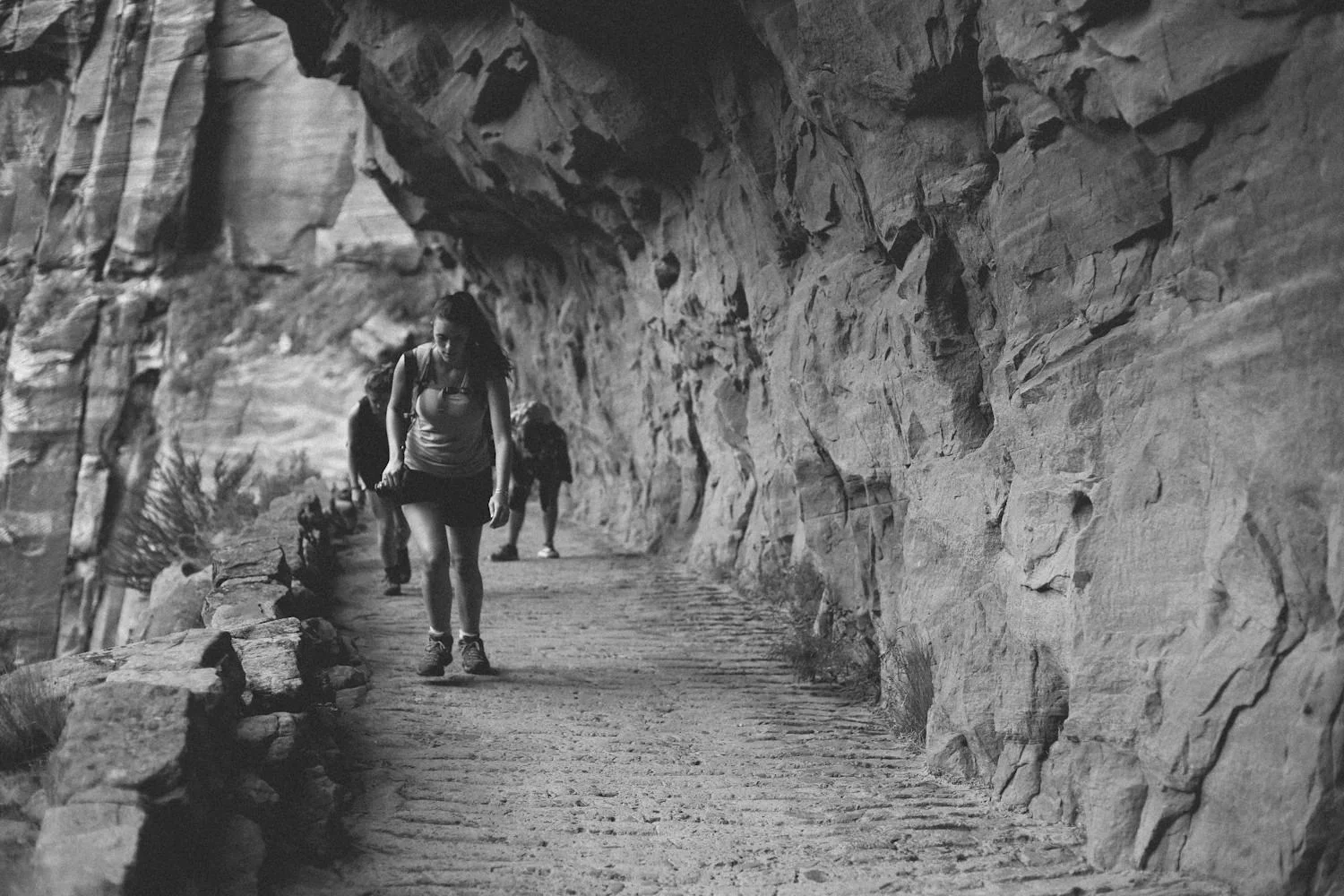 zion-28.jpg