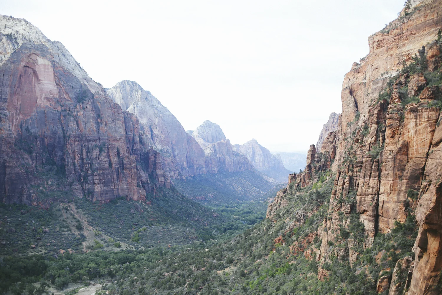 zion-27.jpg