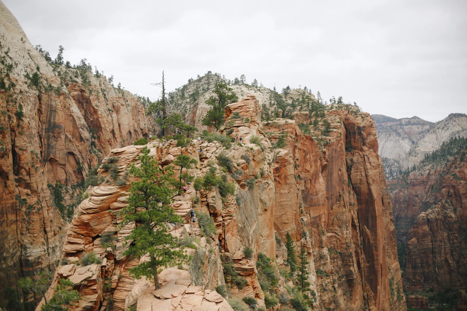 zion-47.jpg