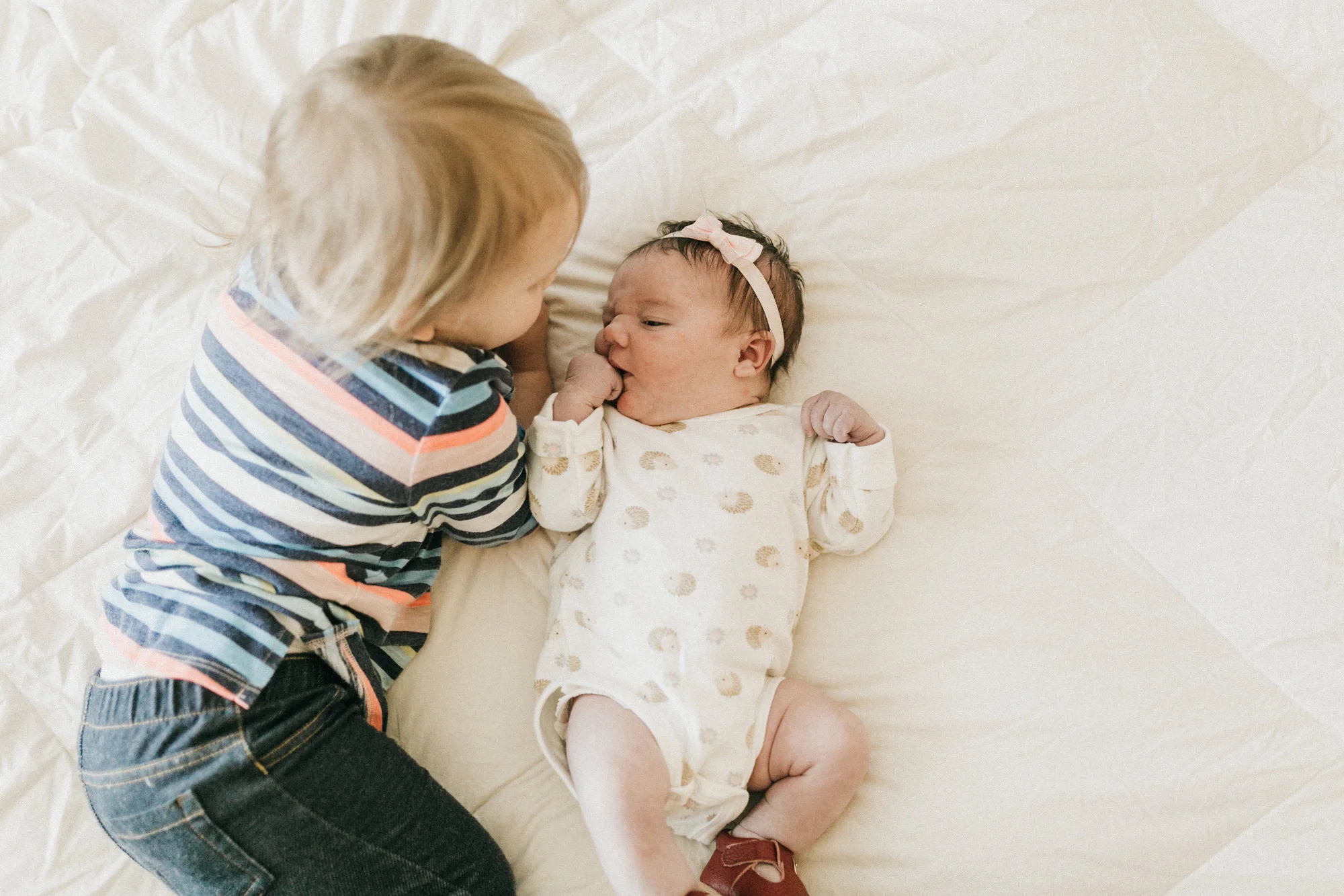 Fullerton Newborn Photographer
