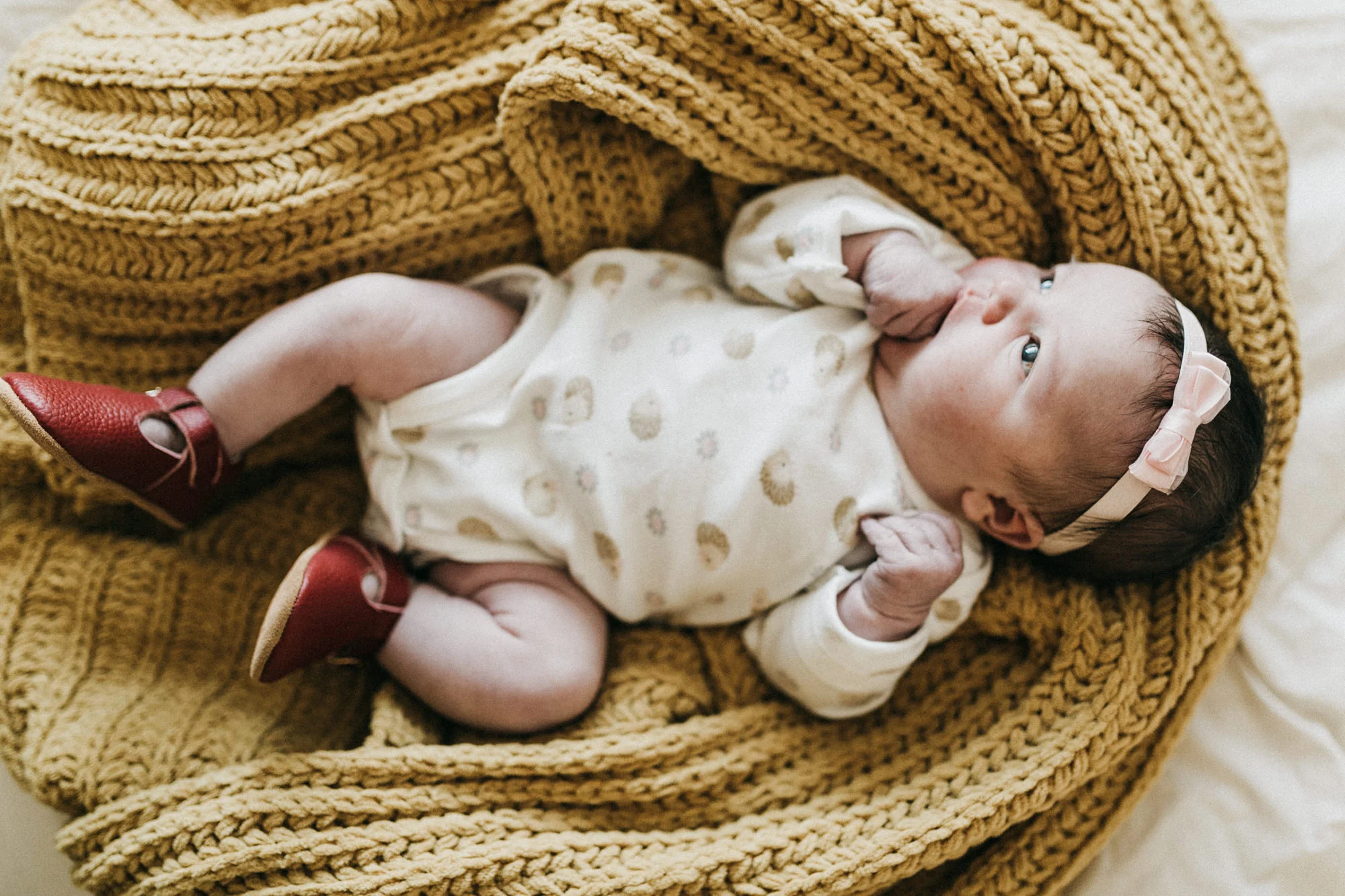 Brea Newborn Photographer