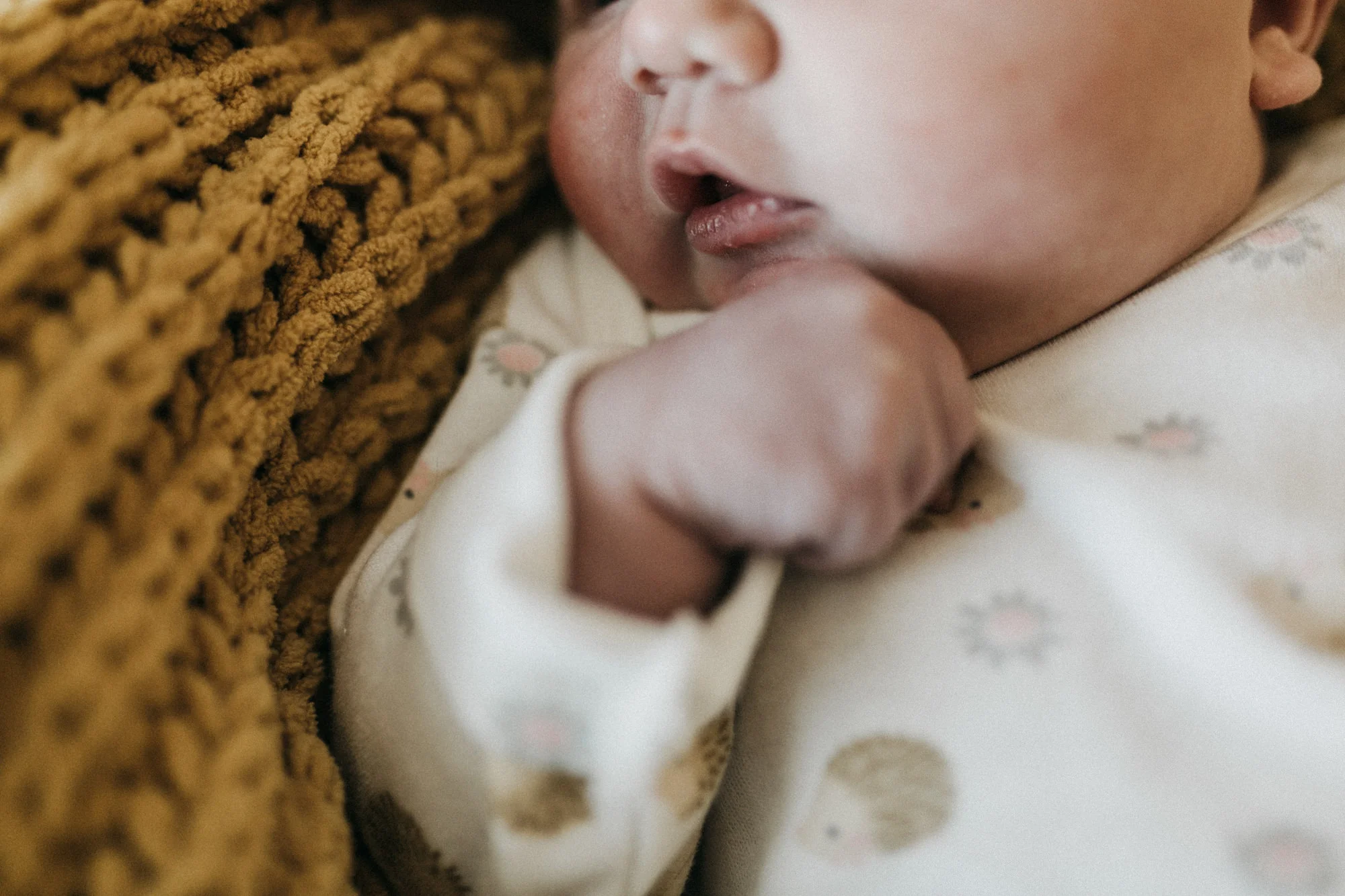 Newborn Photographer