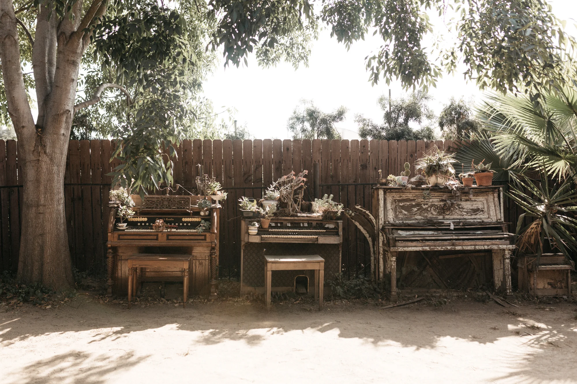 the_fire_garden_wedding-9.jpg