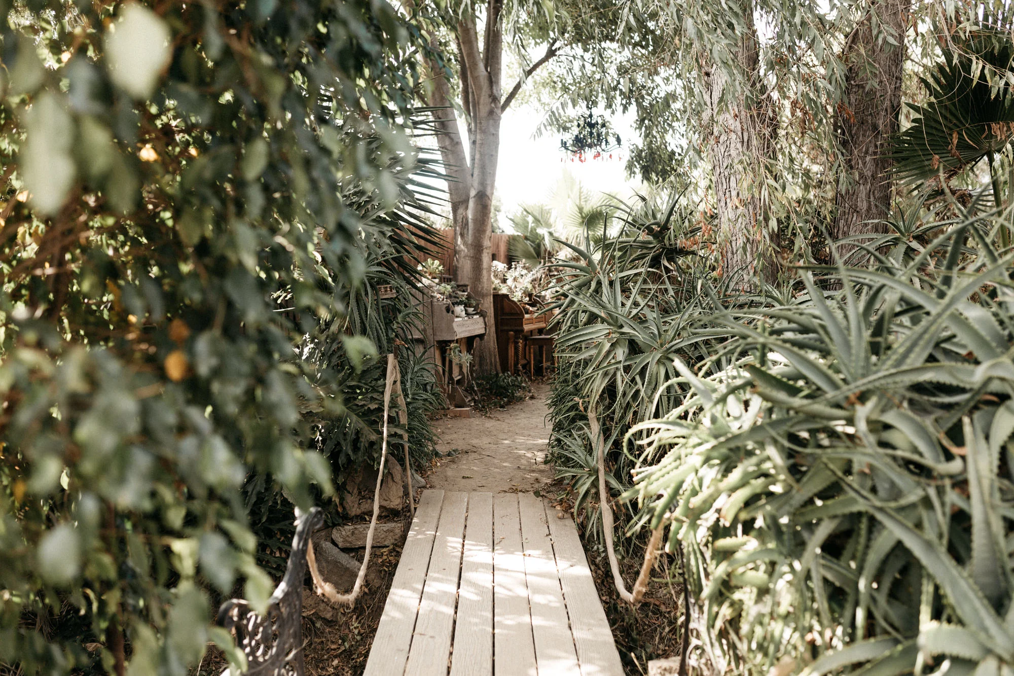 the_fire_garden_wedding-11.jpg