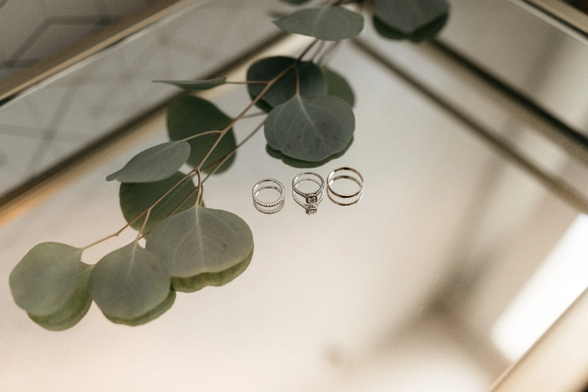 the_evergreen_portland_wedding-51.jpg
