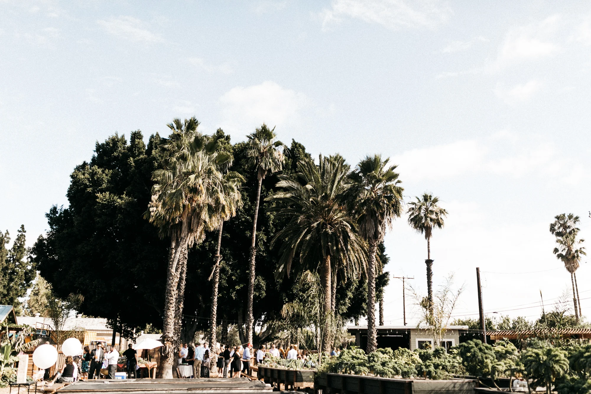 the_riverbed_farm_anaheim_wedding-58.jpg