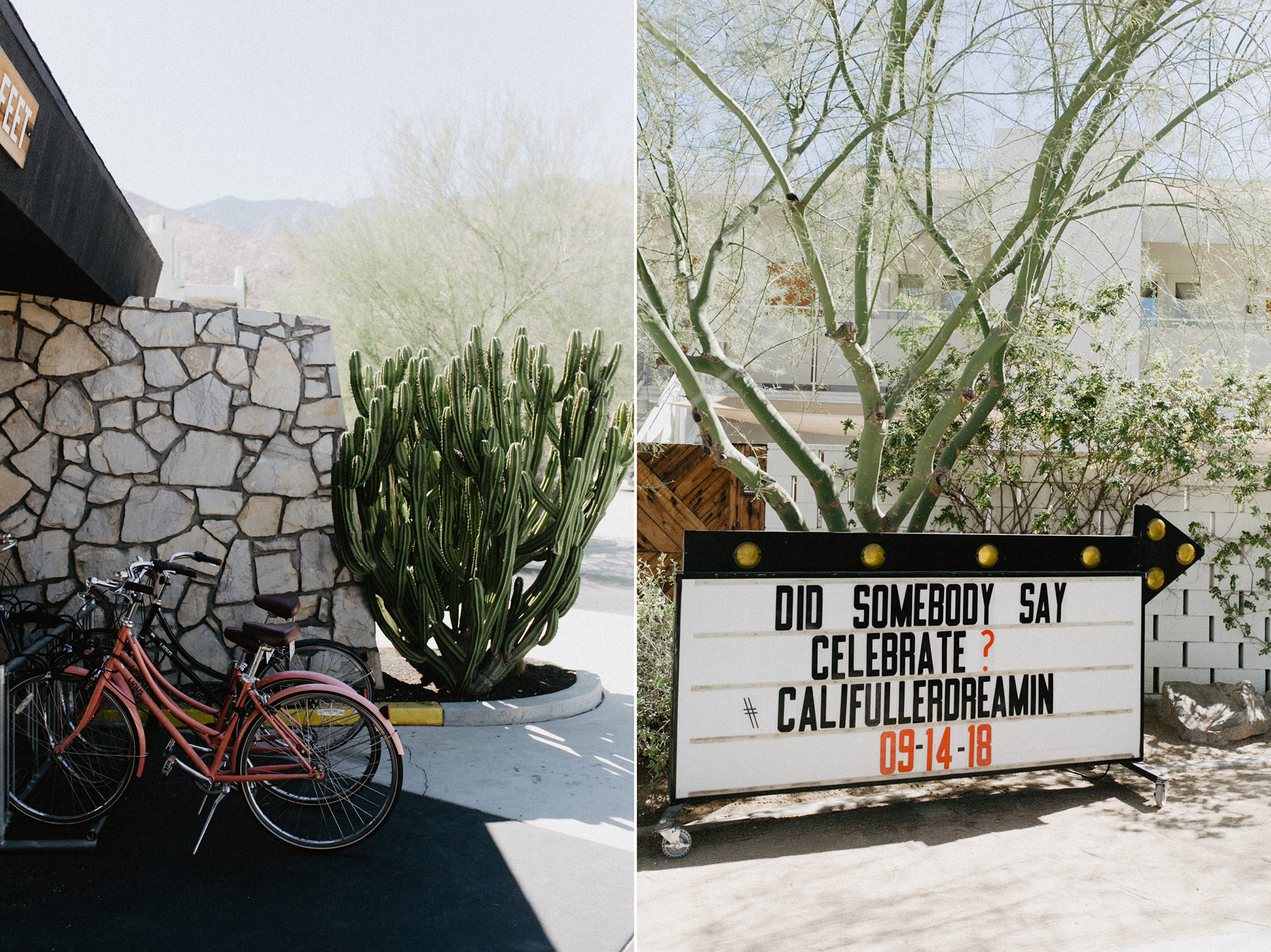 ace_hotel_palm_springs_wedding-16.jpg