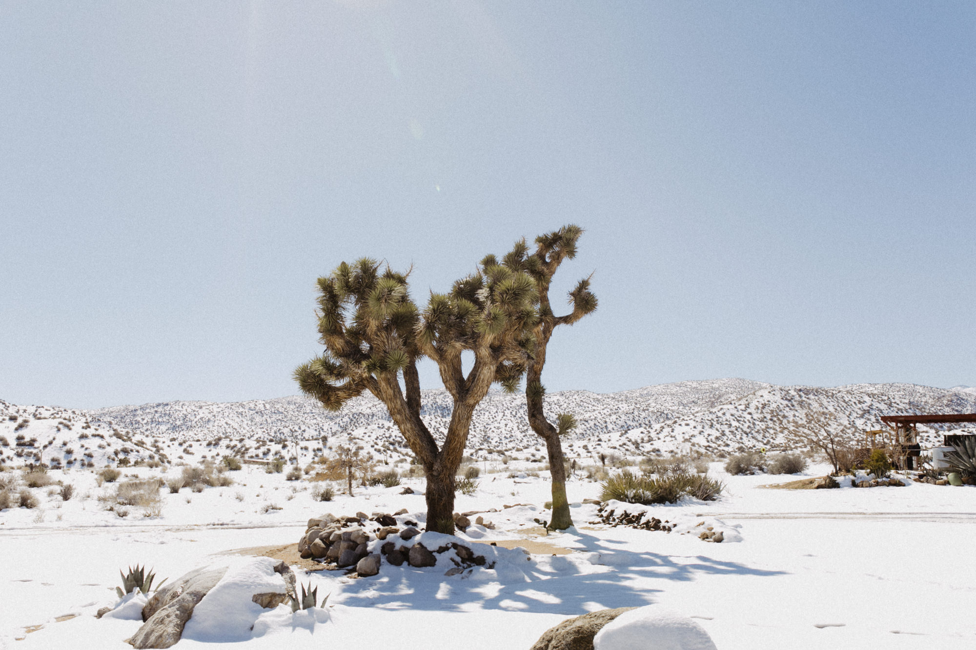 rimrock ranch joshua tree wedding -2.jpg