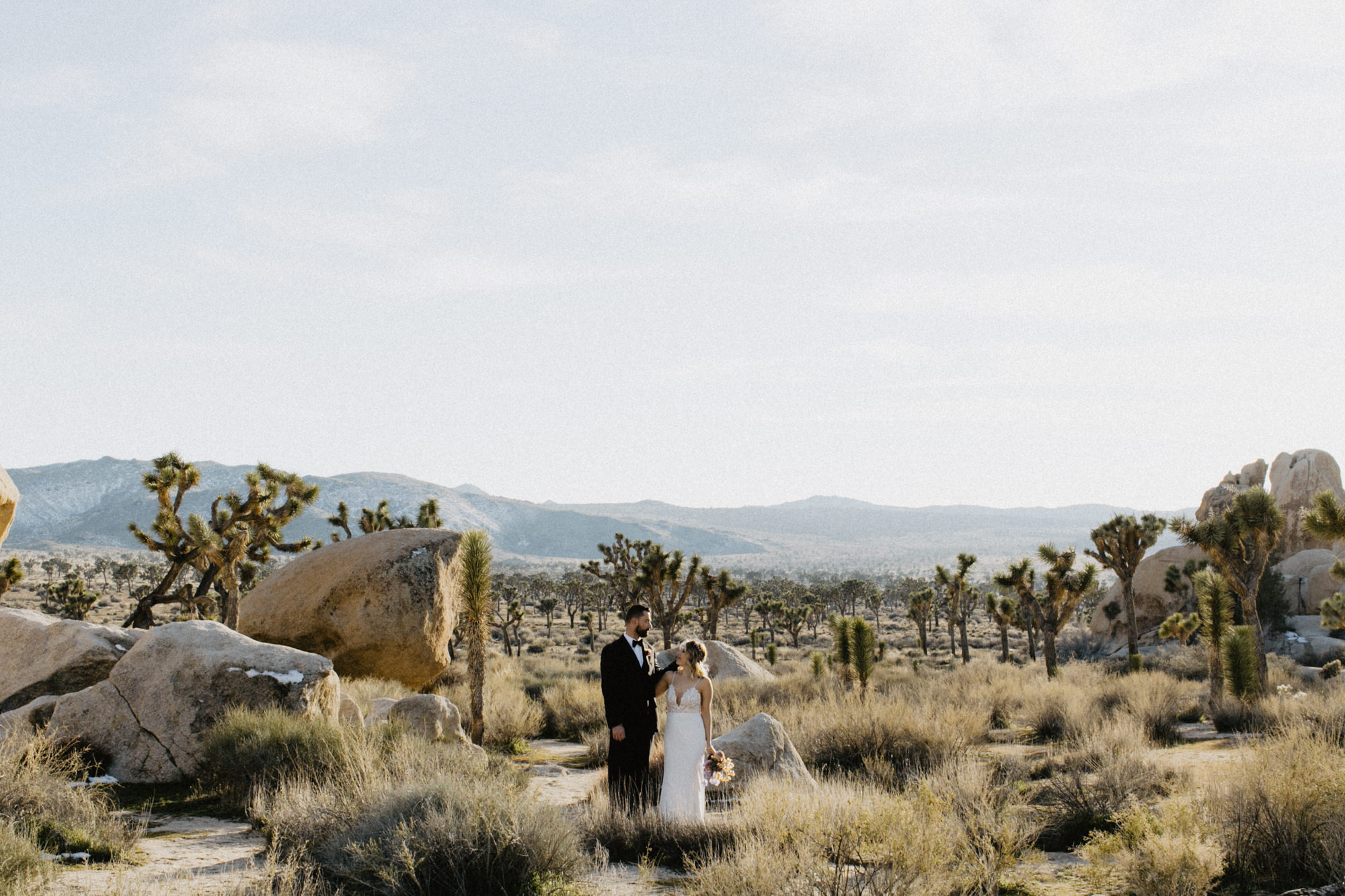 rimrock ranch joshua tree wedding -53.jpg