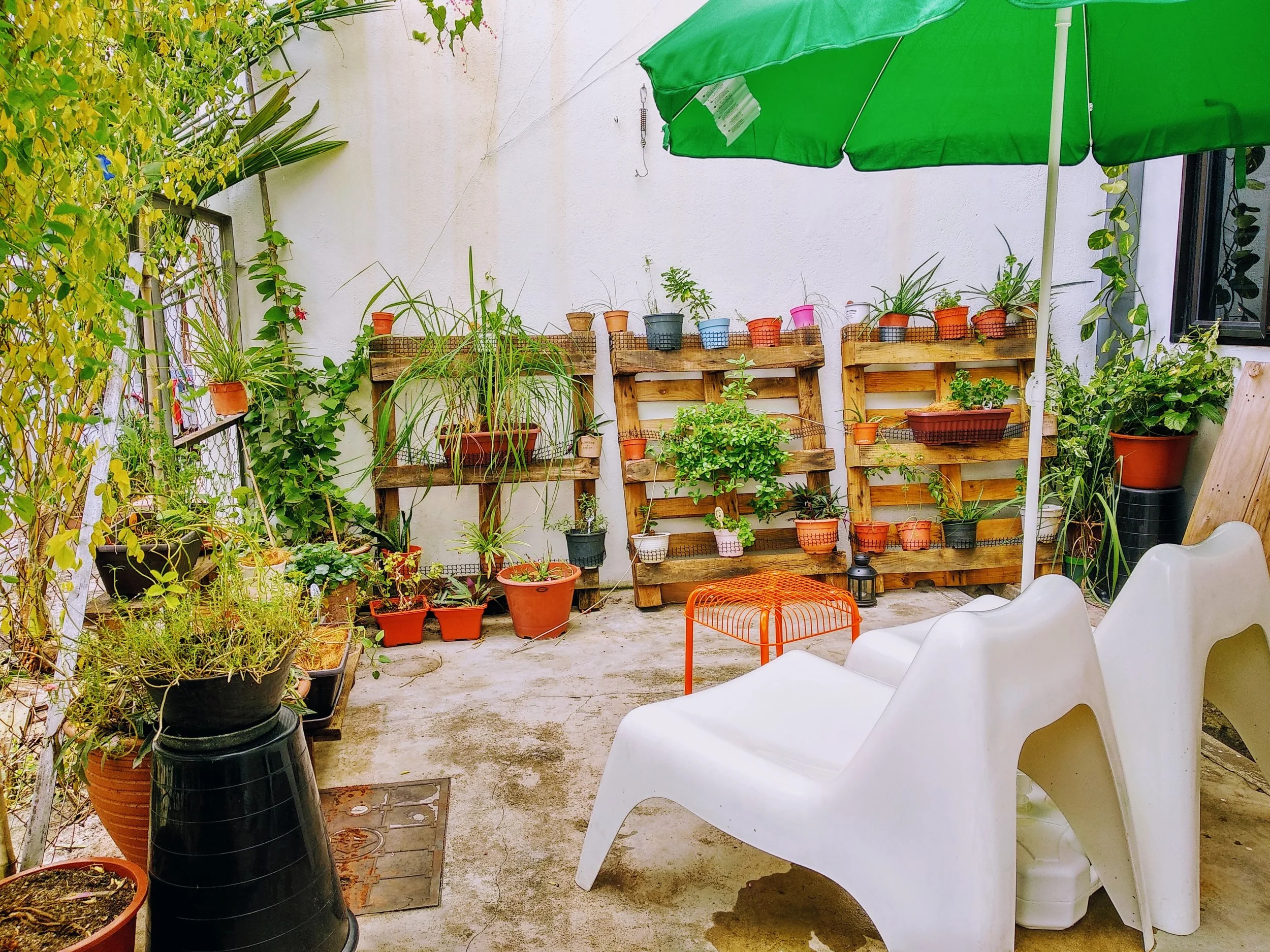 The Backyard