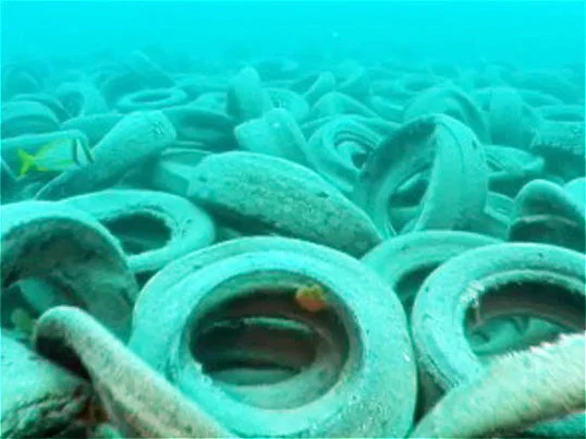 Navy Combat Camera Dive Ex-East, 2007 ( link )
