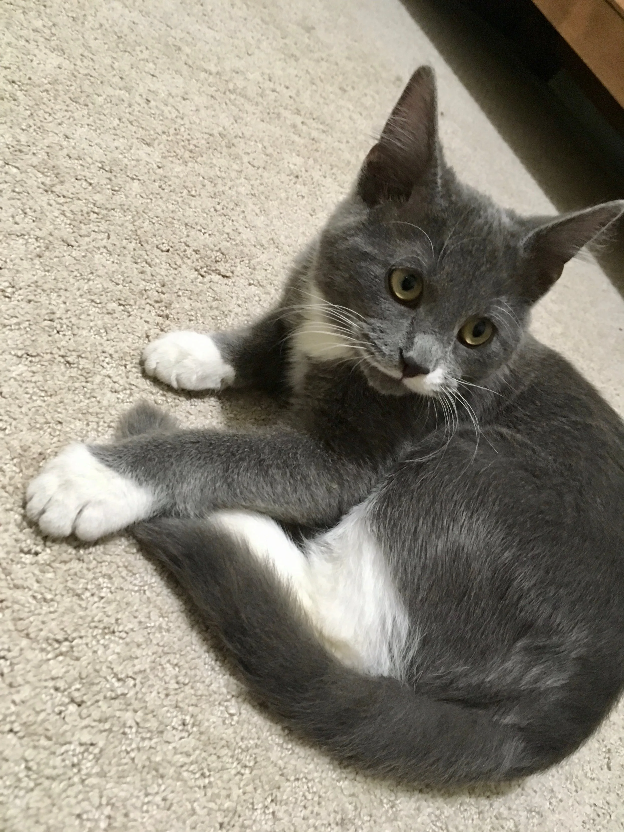 Oliver