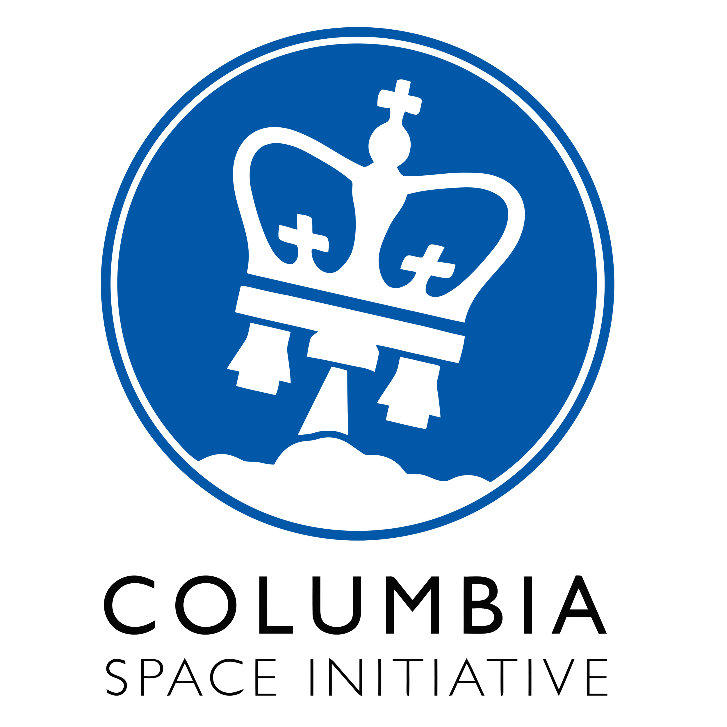 CSI logo 1 (standard).png