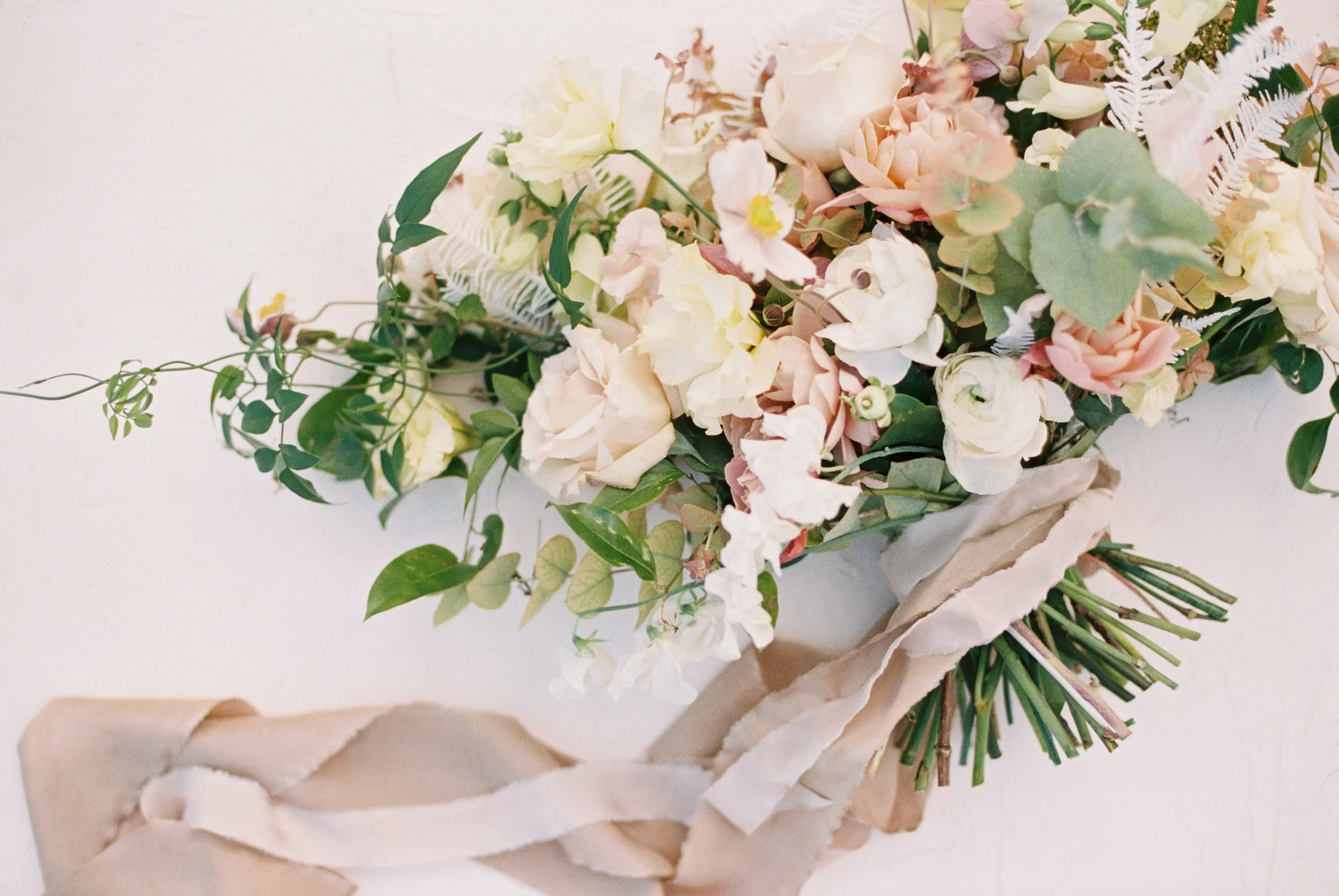 Ginnyfall17floralSIngram-14.jpg
