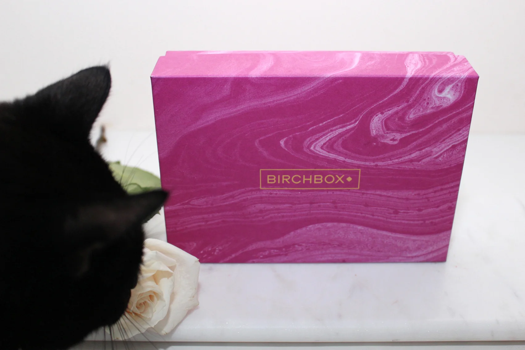 BIRCHBOX IS MARVIN APPROVED 。^・ェ・^。