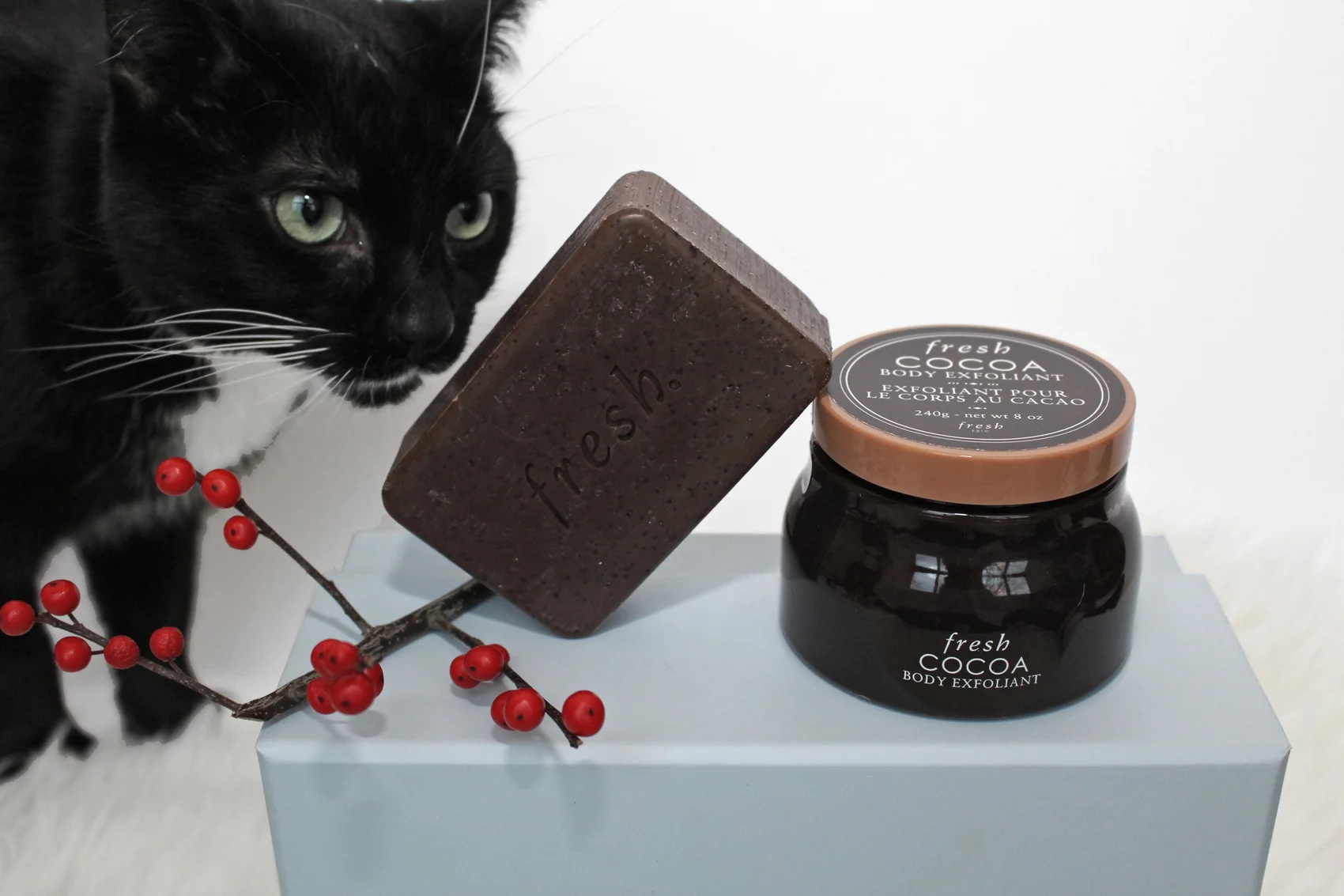 Chocolate can be harmful to cats and dogs but Theo doesn't know any better. I'm not sure if the same can be said for the Cocoa bath products, but I don't want to take a chance. I banned him from the set soon after this. 
