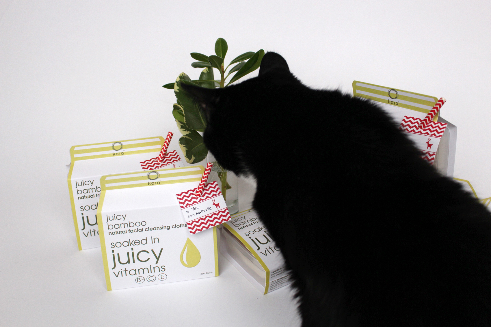 kaia naturals juicy bamboo natural facial cleansing cloths - available in holiday packaging, $15.50