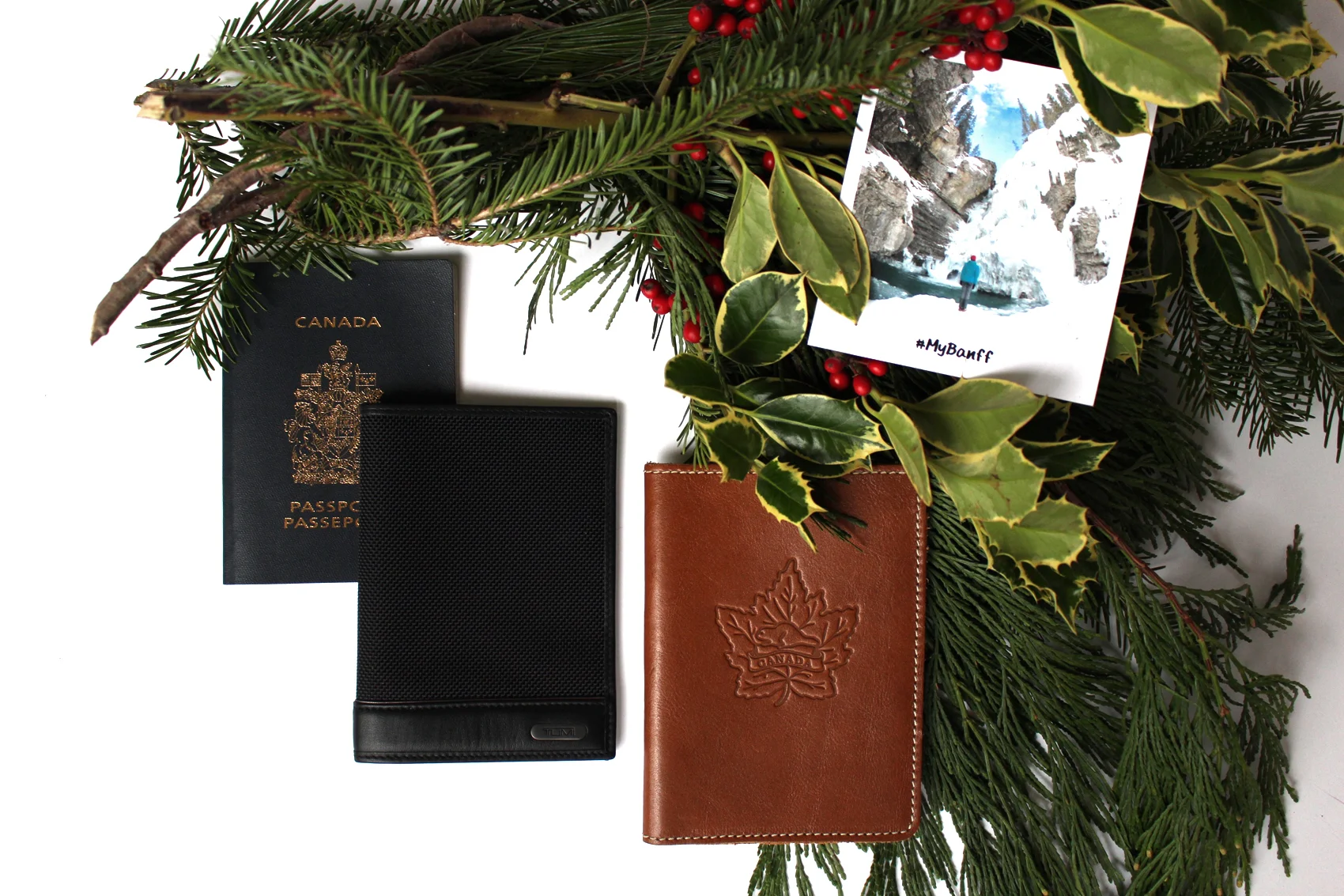 Black passport cover from Tumi and brown leather leather cover from Roots. 