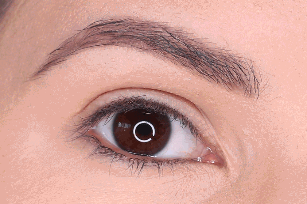 chanel-aqua-eye-neapolis-new-city-eyeshadow-palette.gif