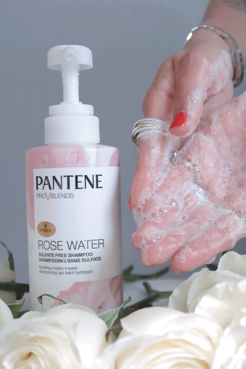 pantene-rose-water-sulfate-free-shampoo-lather.gif