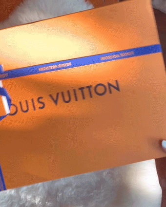 Louis Vuitton Teddy Bumbag Unboxing, Mod Shots