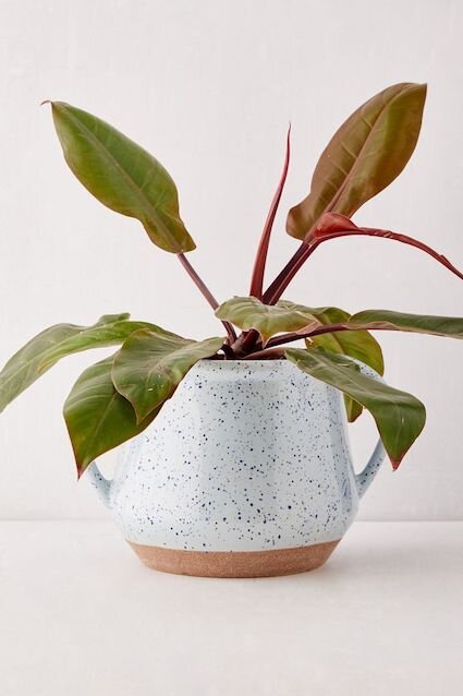 speckled planter.jpg