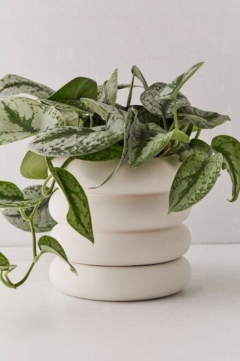 urban uotfitters tall stacking planter.jpg