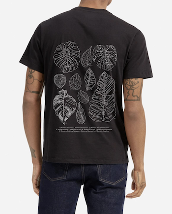 Monstera Species T-shirt by WoahPlants.png