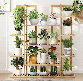 10 Tier Plant Stand.png