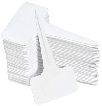 plant tags.png