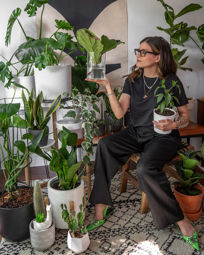 The Ultimate Gift Guide For Plant Parents_6493.jpg
