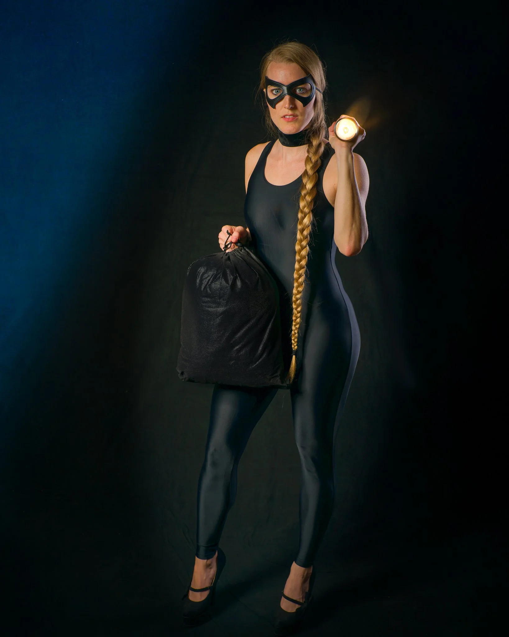 Cat Burglar-2.jpg