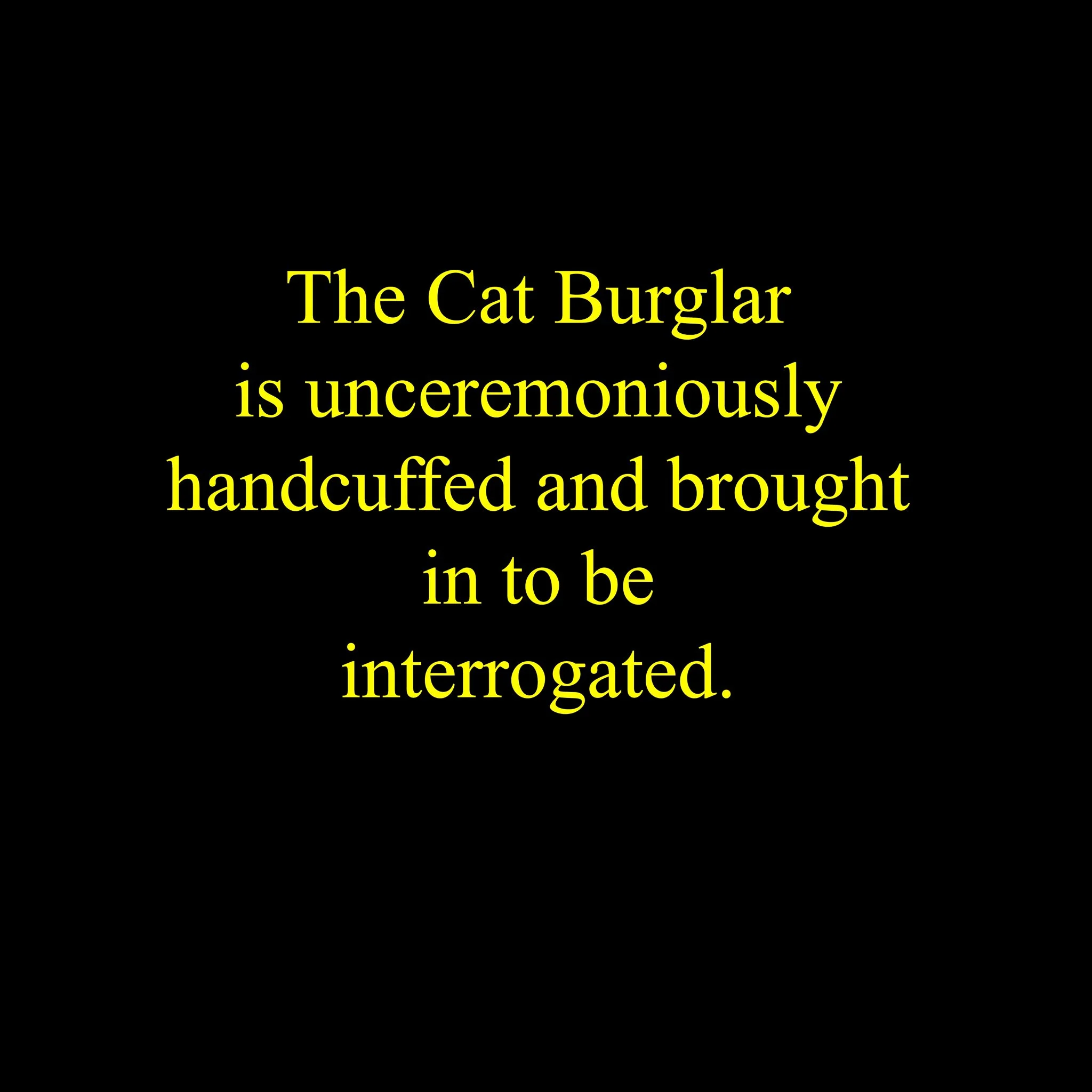 Cat Burglar-43.jpg