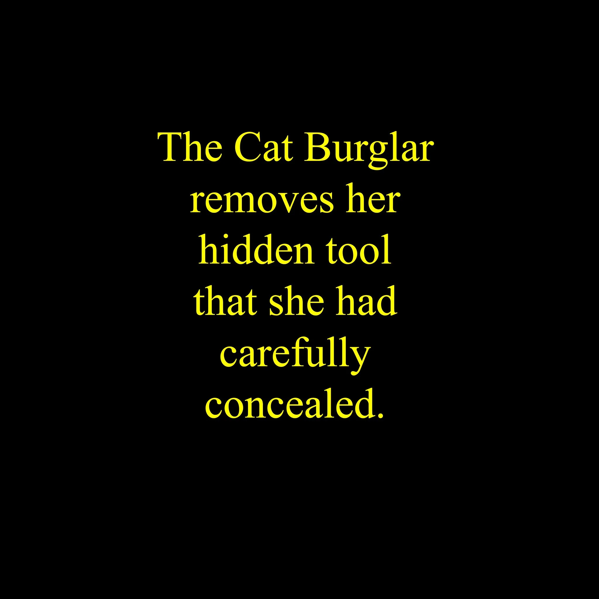 Cat Burglar-68.jpg