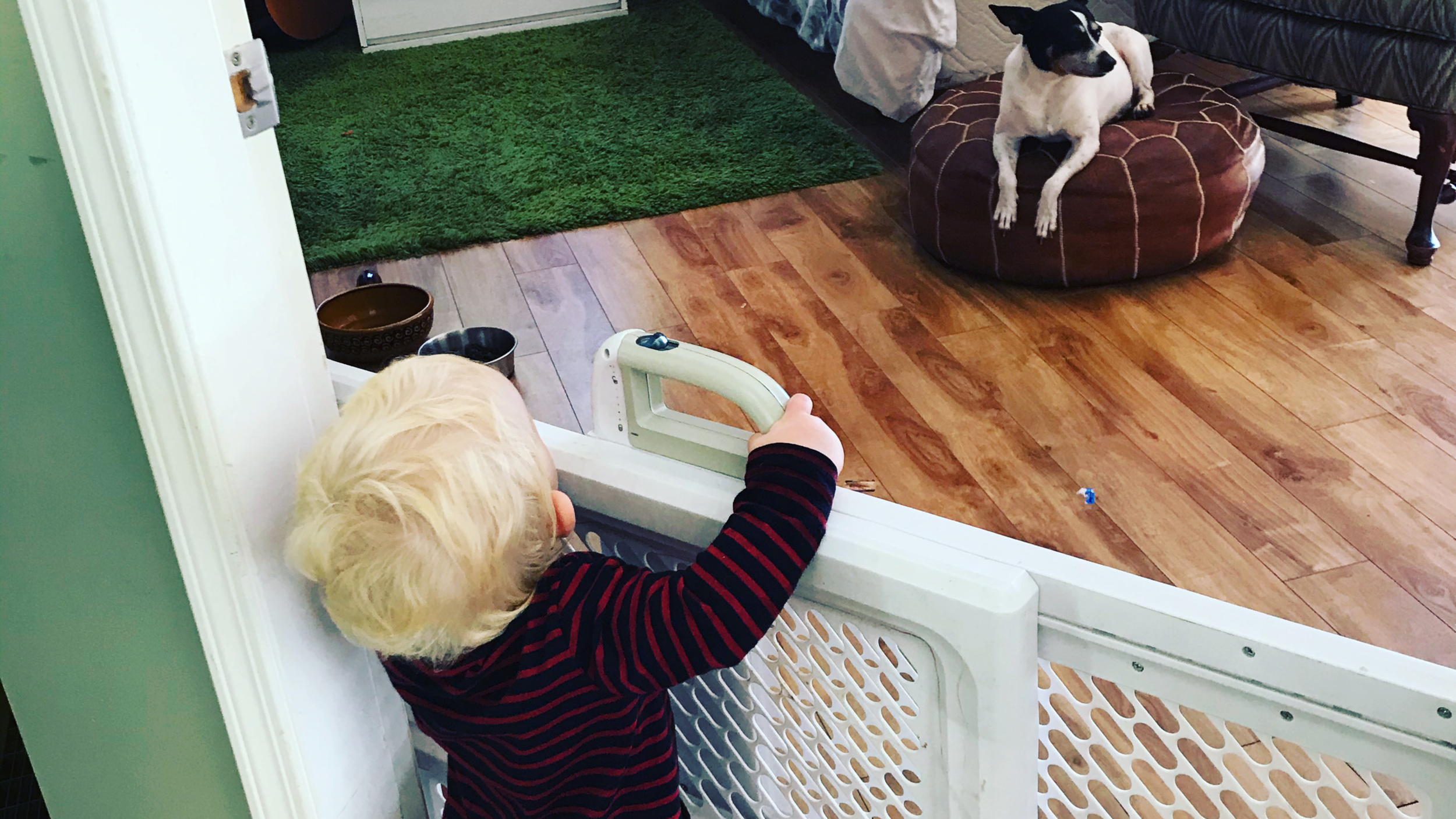 House Rules For A Dog &amp; Toddler