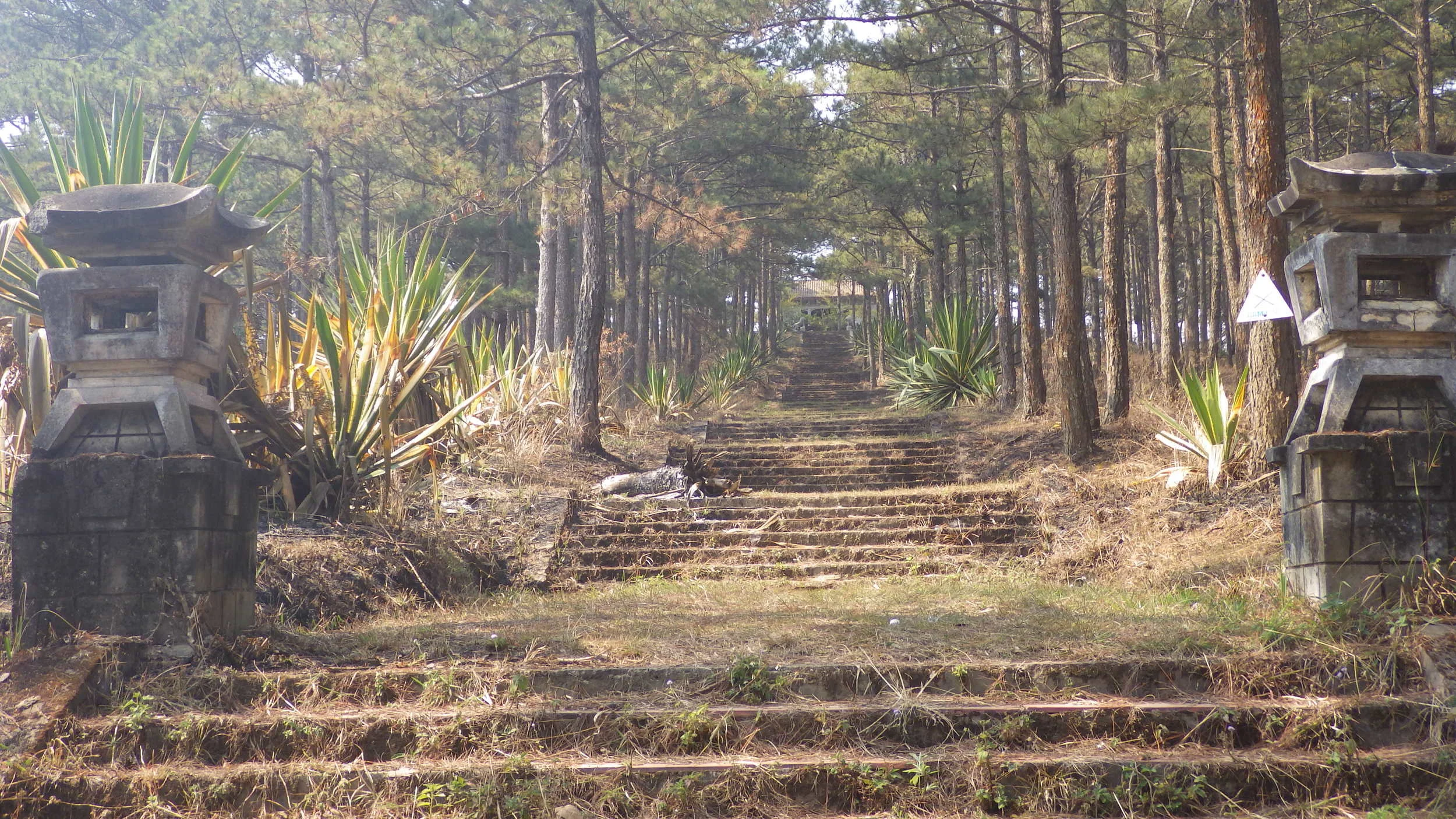 Ten million billion treacherous steps covered in slippery pine needles.