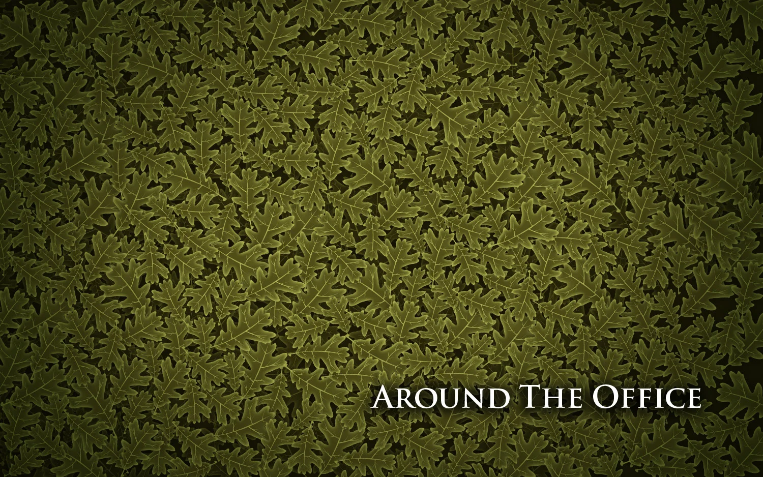 Dental Library Review- The Berenstain Bears and the Tooth Fairy