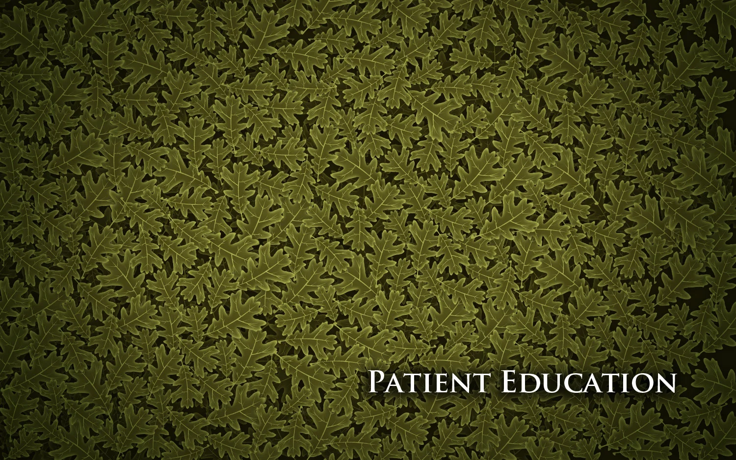 Dentistry Through The Ages- High School and College