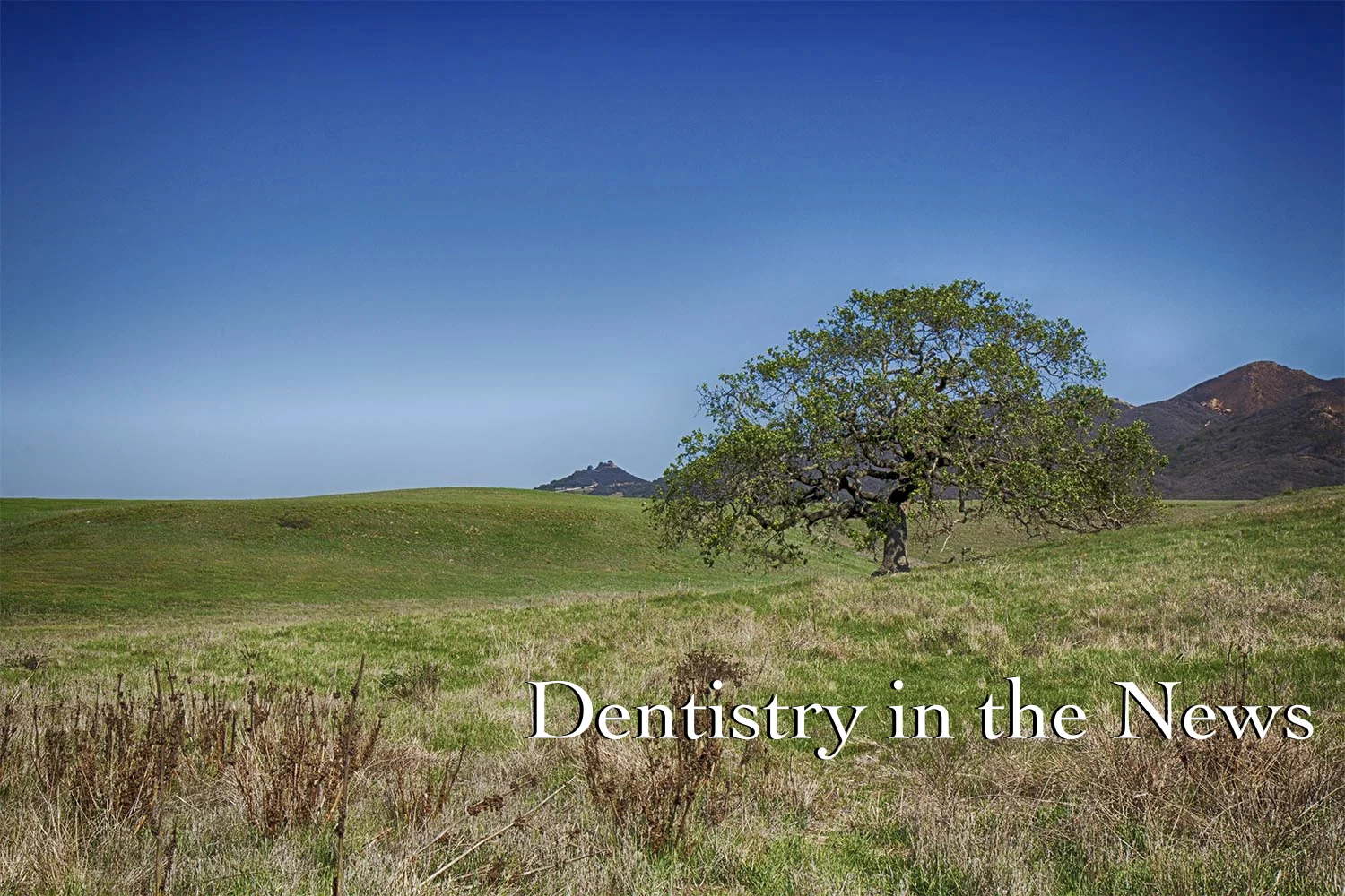400 Year Old Dentures
