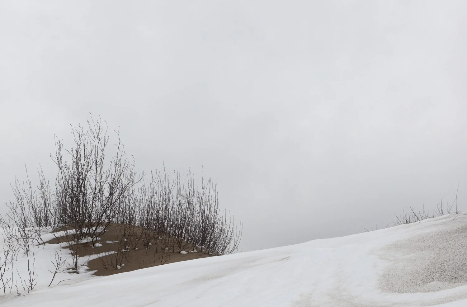 SNow_6609 copy 3.jpg