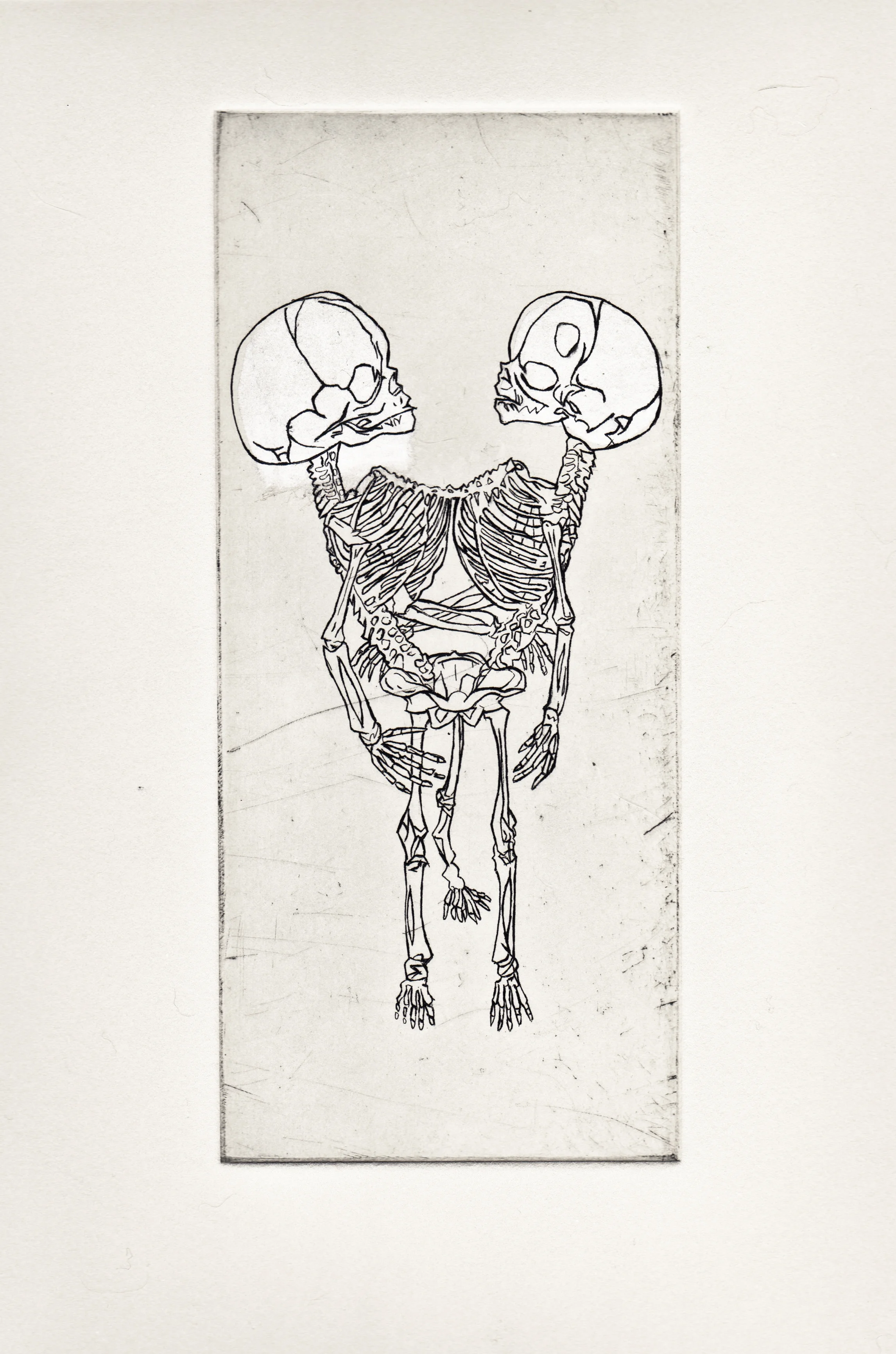 Scan 21.jpg
