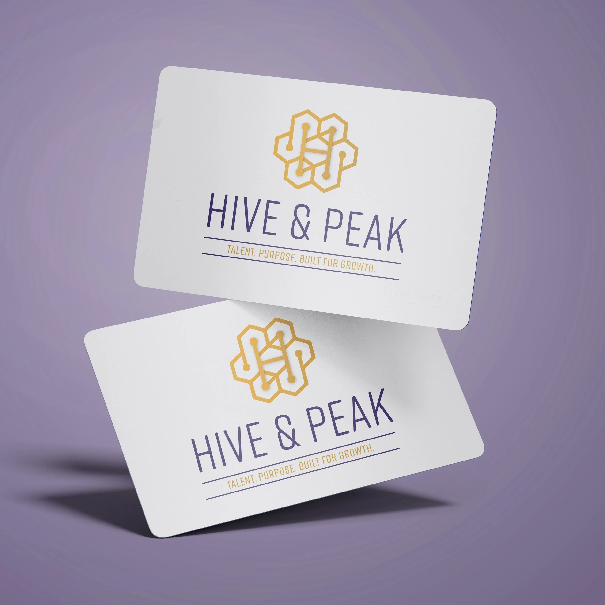 A brand built for the people who build high-growth teams.

Hive &amp; Peak specializes in recruiting top-tier Go-to-Market talent for high-growth AI and SaaS startups... connecting founders with the Sales, Marketing, Customer Success and RevOps profe